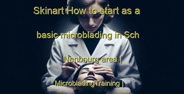 Skinart How to start as a basic microblading in Sch  Nenbourg area | MicrobladingTraining | MicrobladingClasses | SkinartTraining-France